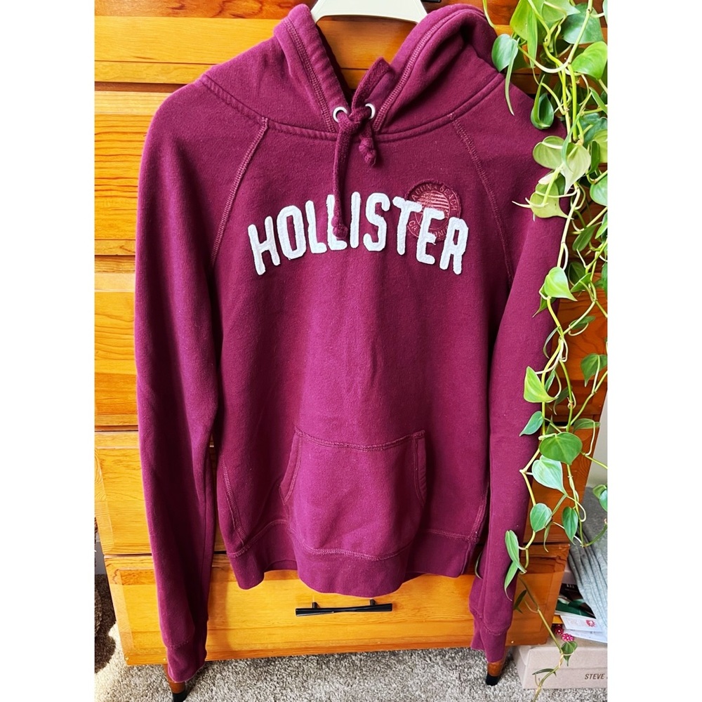 Hollister Hoodie, Size: L
